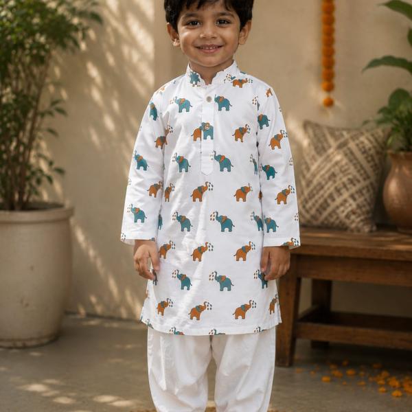 Multi coloured elephant kurta for boys